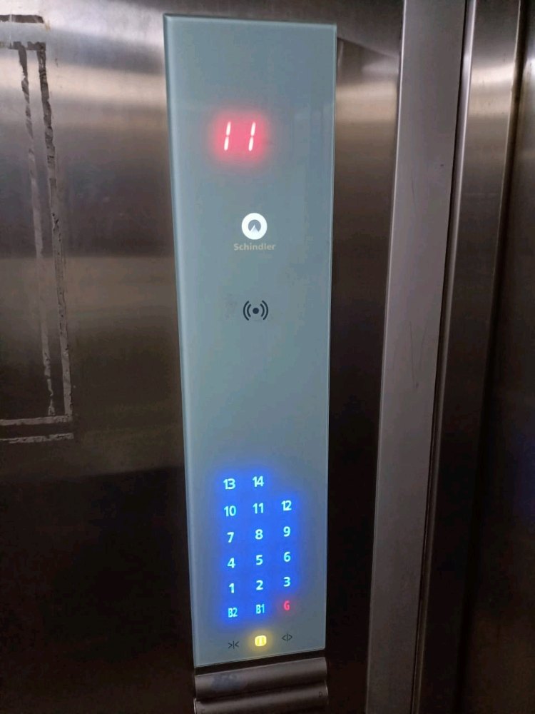 Matallic Button